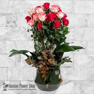 Armenia Roses Bouquet #7